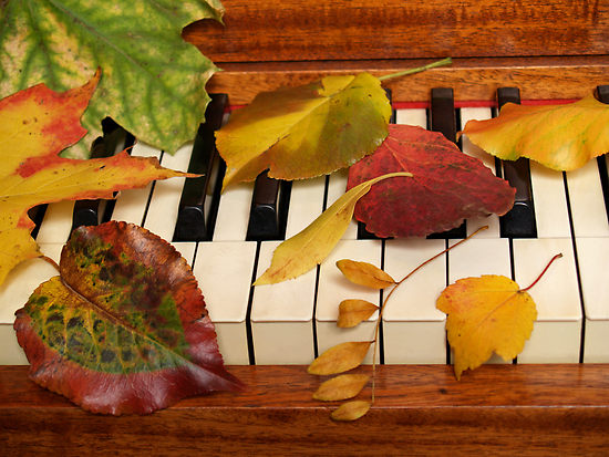 Celebrate Fall With 20% Off Music Lessons Through September 30, 2015 ...