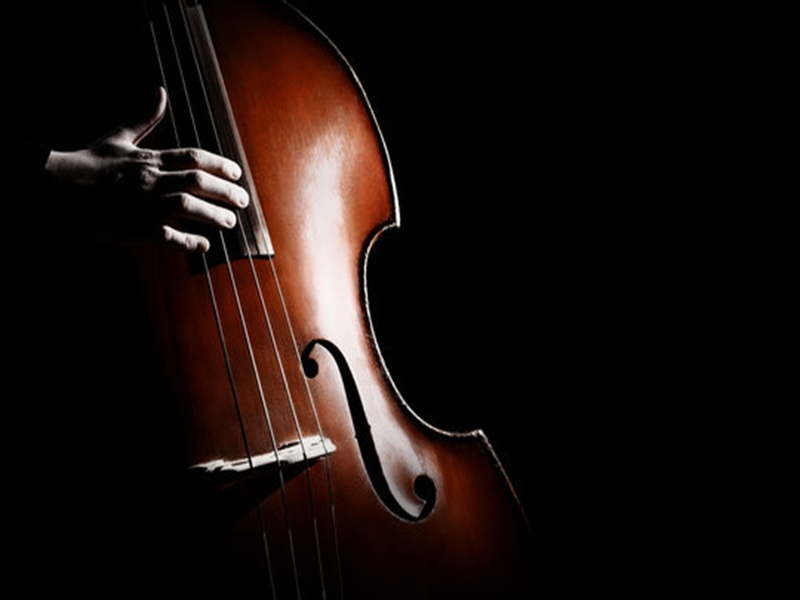 Upright Bass